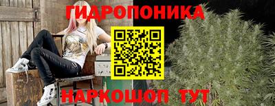тгк Будённовск