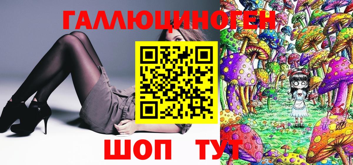 Псилоцибиновые грибы Psilocybe Красноуфимск