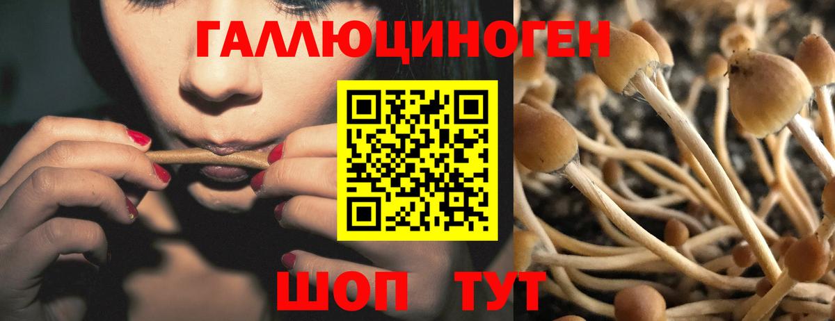 Галлюциногенные грибы ЛСД  Вход с VPN  Красноуфимск  Псилоцибиновые грибы MAGIC MUSHROOMS 